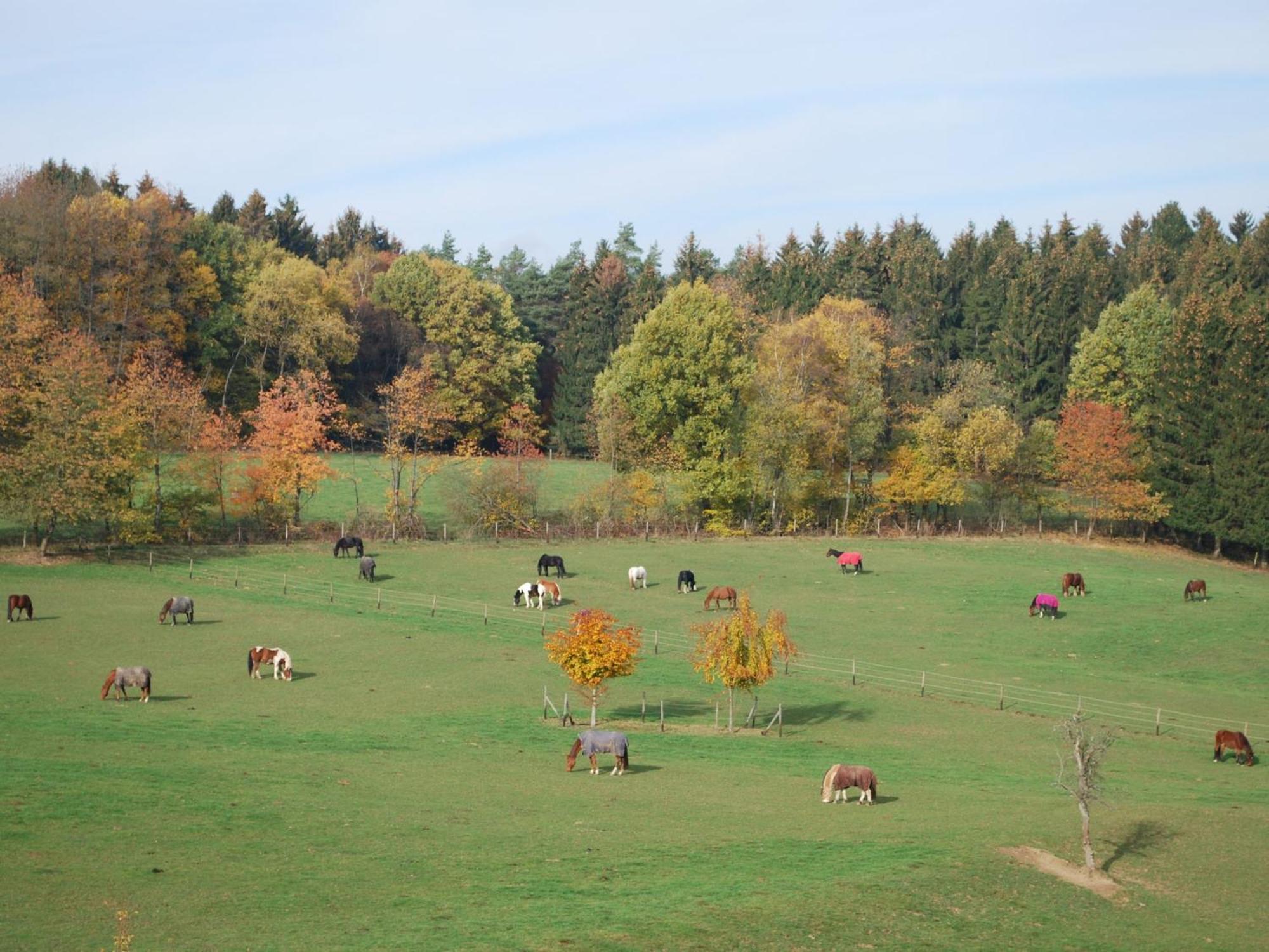Stoeltings Landhaus Wiehl Buitenkant foto