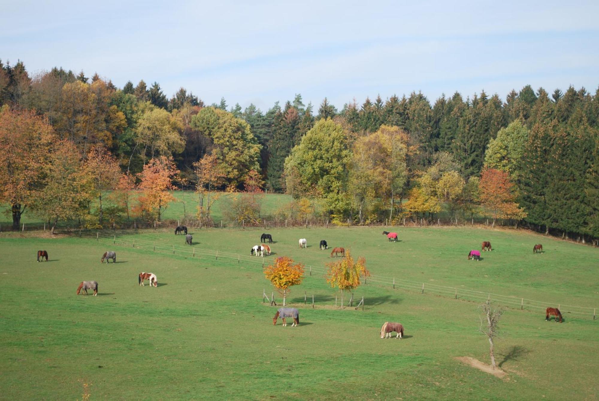Stoeltings Landhaus Wiehl Buitenkant foto
