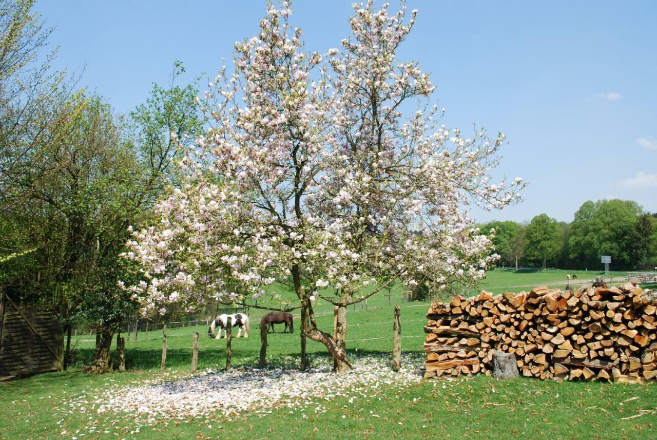 Stoeltings Landhaus Wiehl Buitenkant foto
